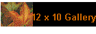 12 x 10 Gallery