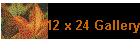 12 x 24 Gallery