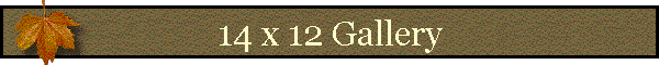 14 x 12 Gallery