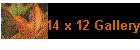 14 x 12 Gallery