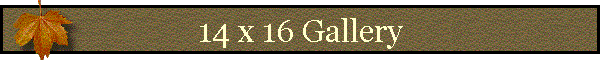 14 x 16 Gallery