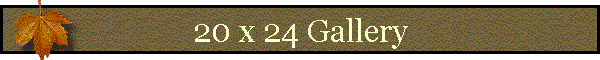 20 x 24 Gallery