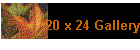20 x 24 Gallery
