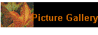 Picture Gallery